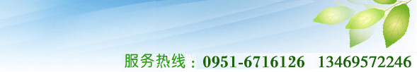 文化活動(dòng)策劃